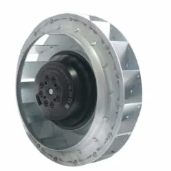 Radial